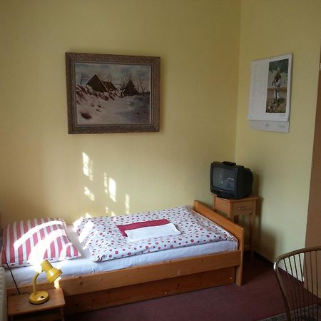 Pension U Dolezalu Brno Room photo