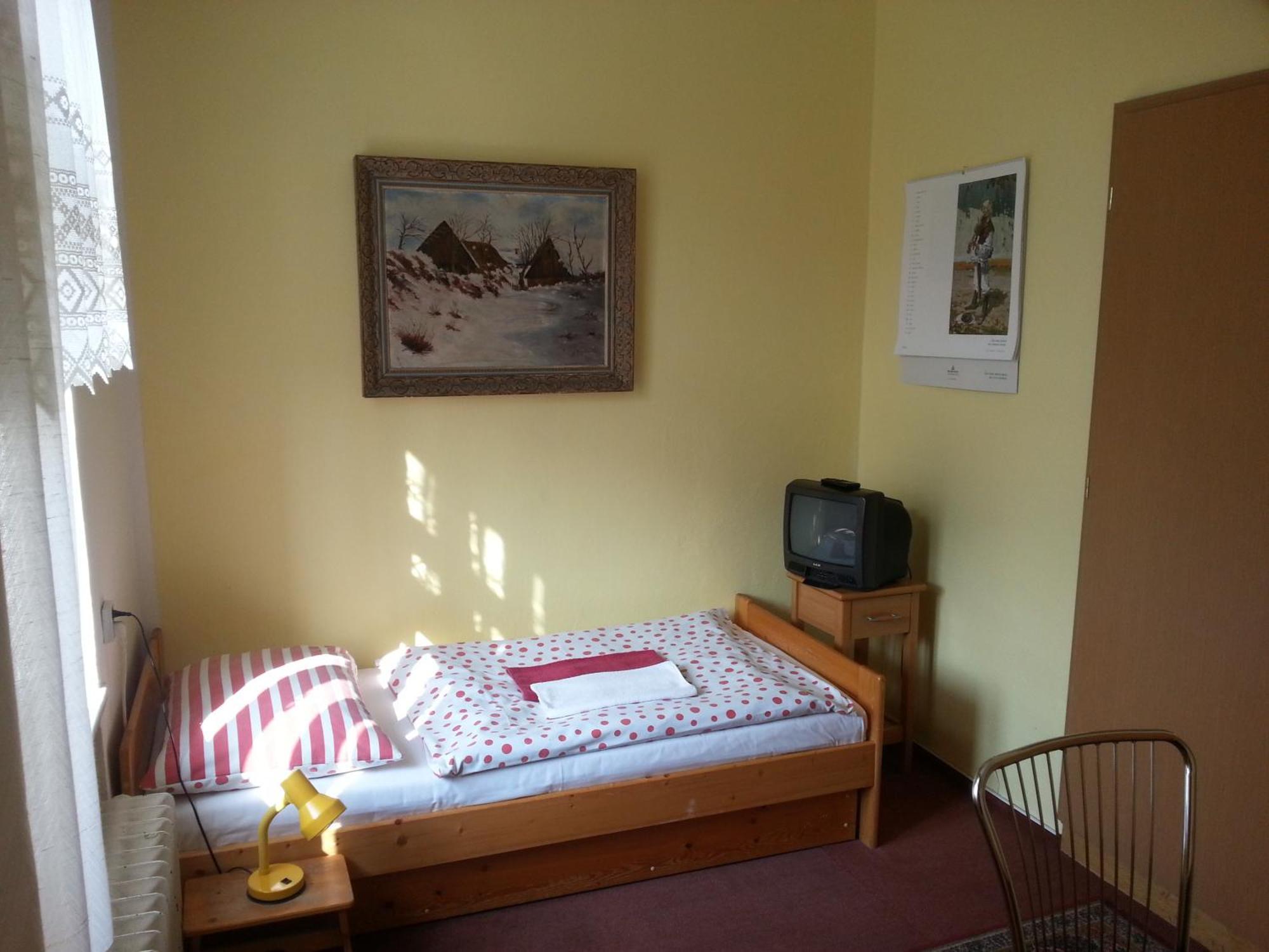 Pension U Dolezalu Brno Room photo